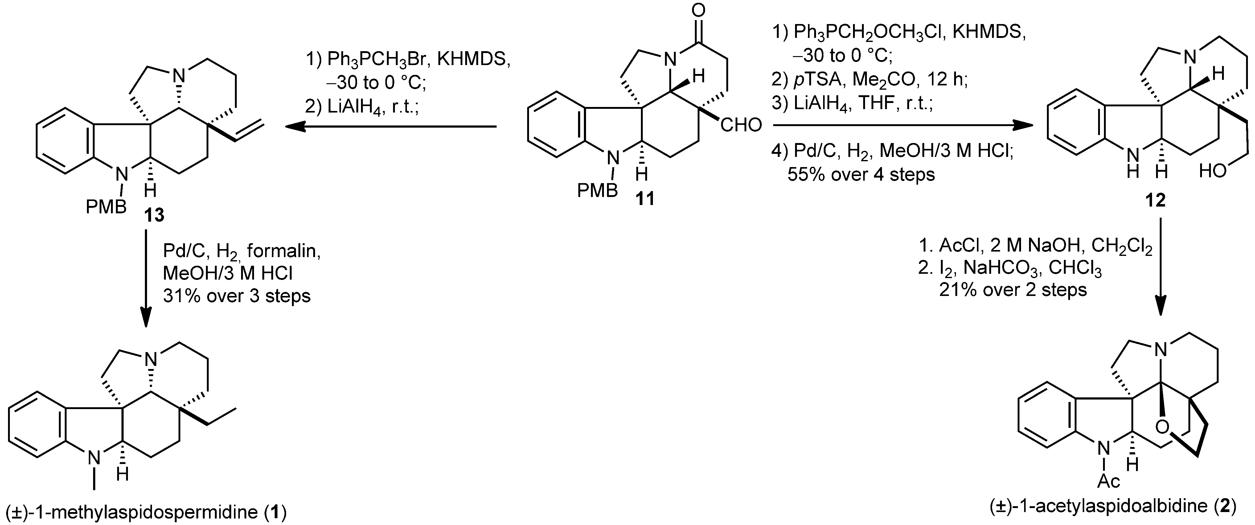 The total synthesis of  (±)-1-acetylaspidoalbidine and (±)-1-methylaspidospermidine.