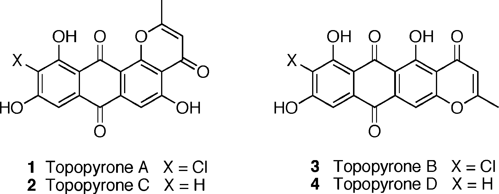 Structures of topopyrones A-D: topopyrone A, topopyrone B, topopyrone C, topopyrone D.