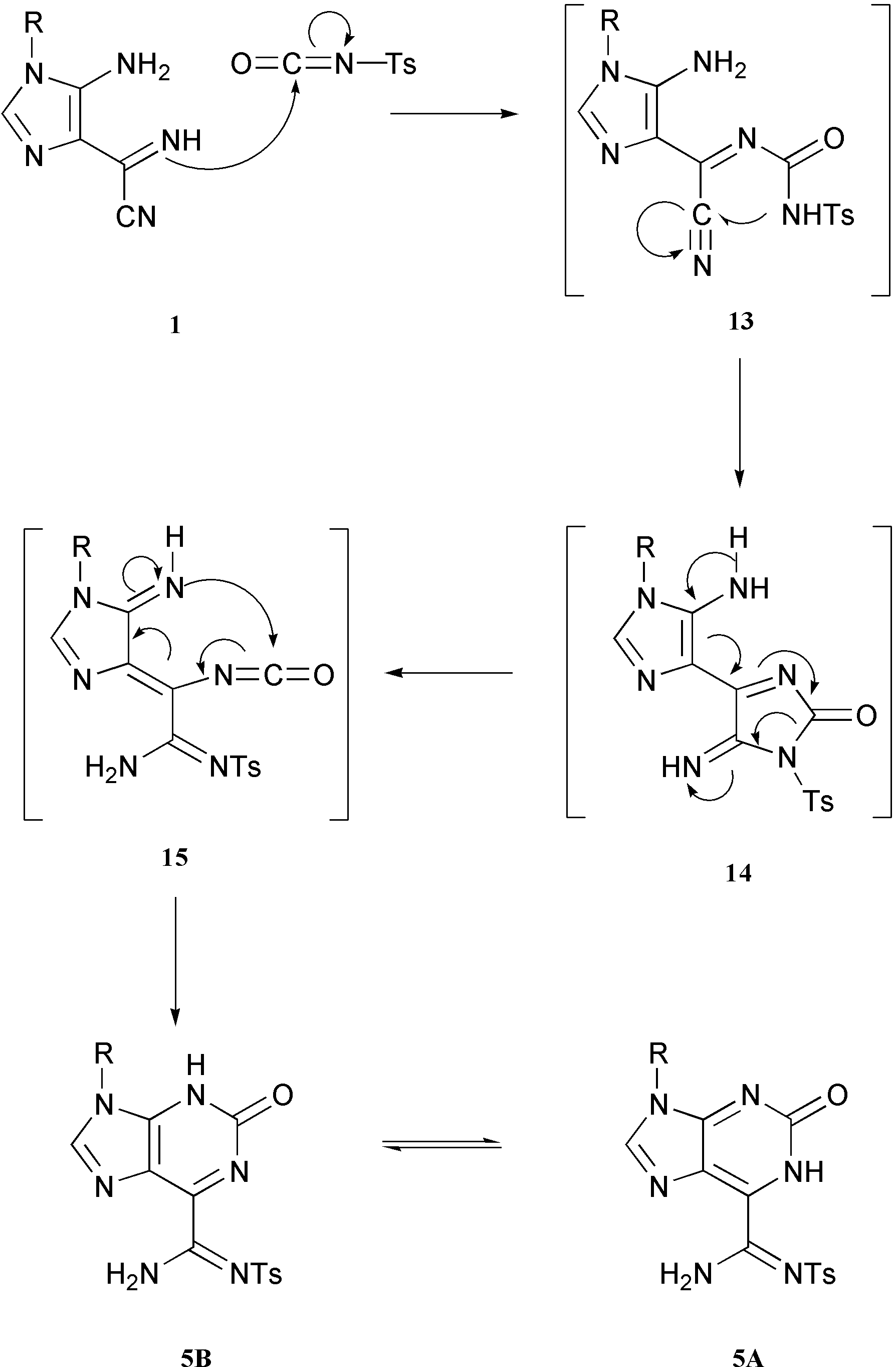 The preferred pathway for the formation of purine 5 in the reaction of imidazole 1 with tosyl isocyanate, must be the one represented in Scheme 5.