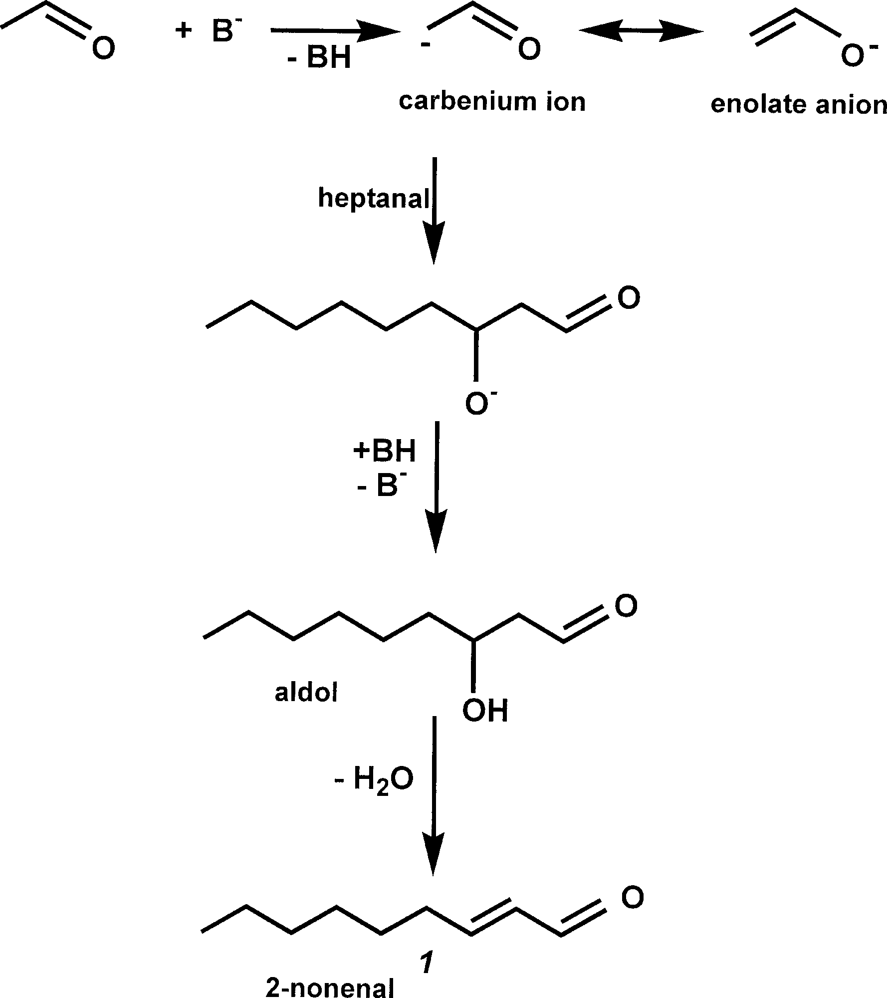 Cross-condensation between the carbanion of acetaldehyde and heptanal.