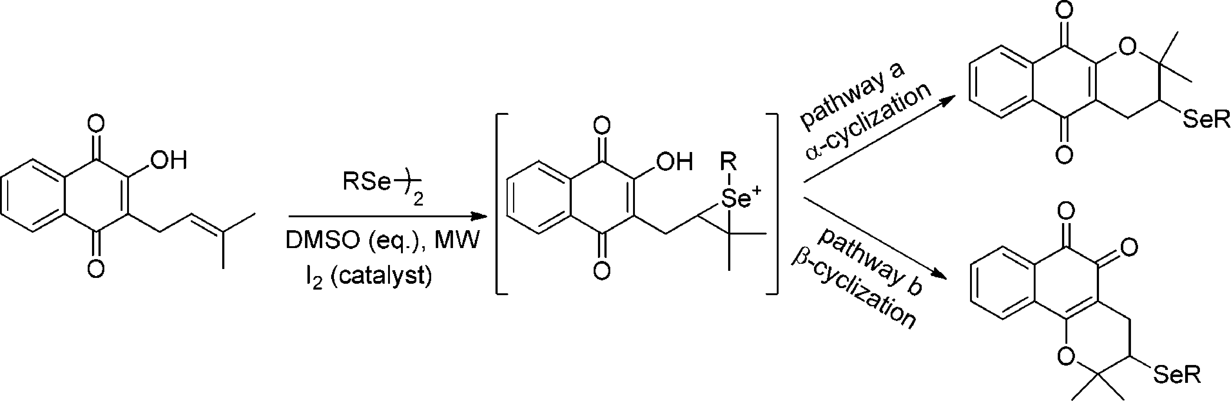 Pathway for the formation of β- or α-lapachone analogs from lapachol (8)