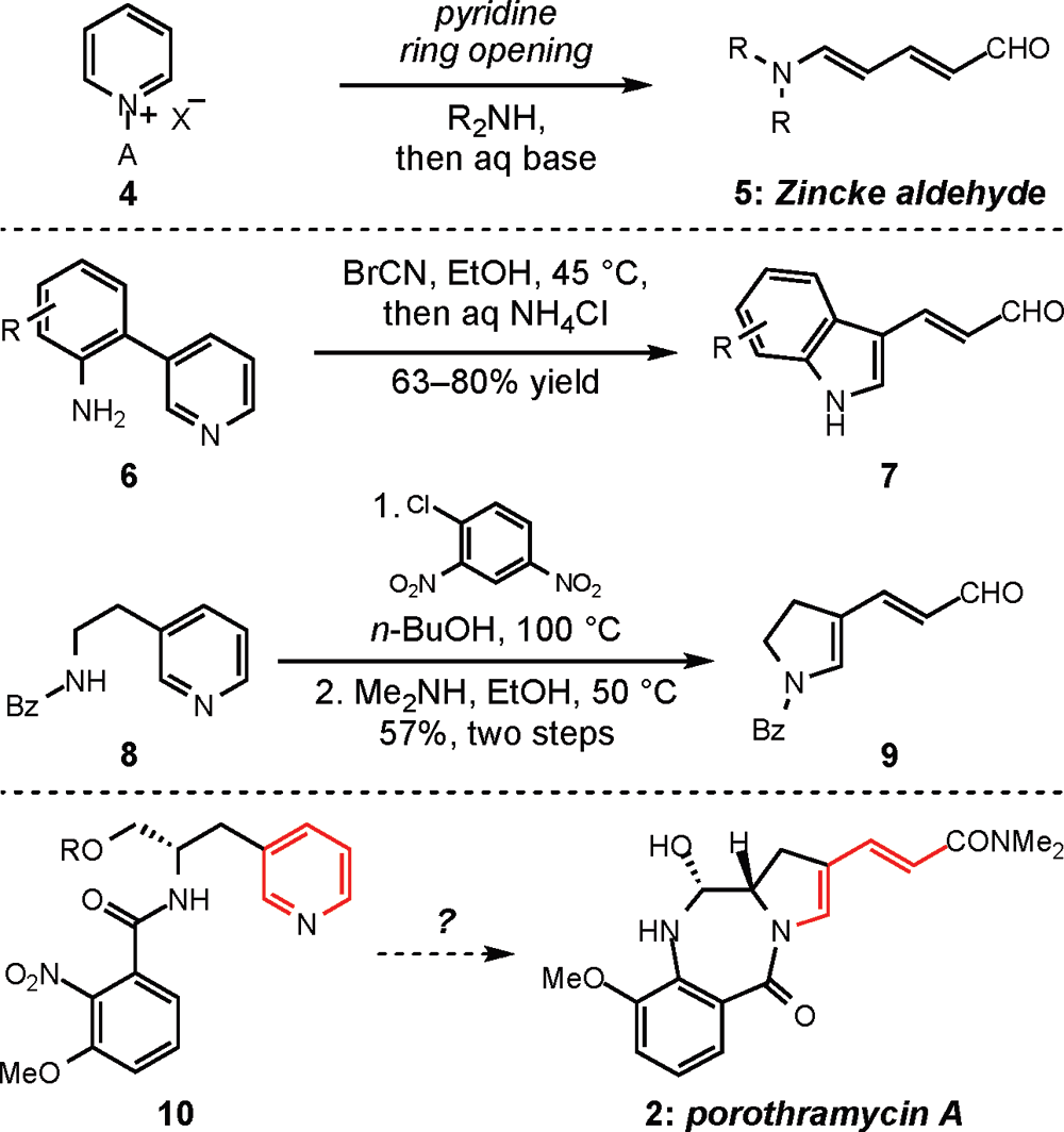 Pyridinium ring-openings to form acyclic Zincke aldehydes, indoles, and dihydropyrroles relevant to the porothramycins. A ) activating group. 