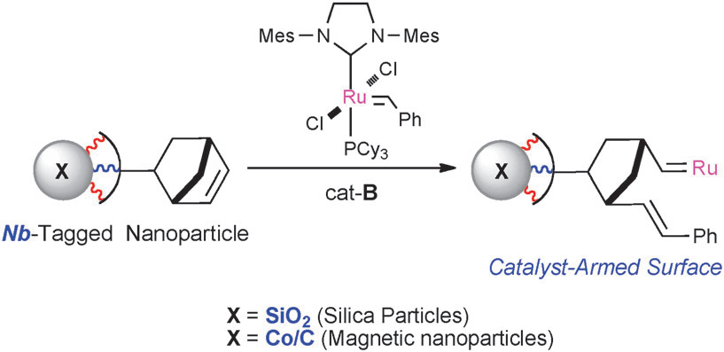 Catalyst-armed Silica- and Co/C magnetic nanoparticles.