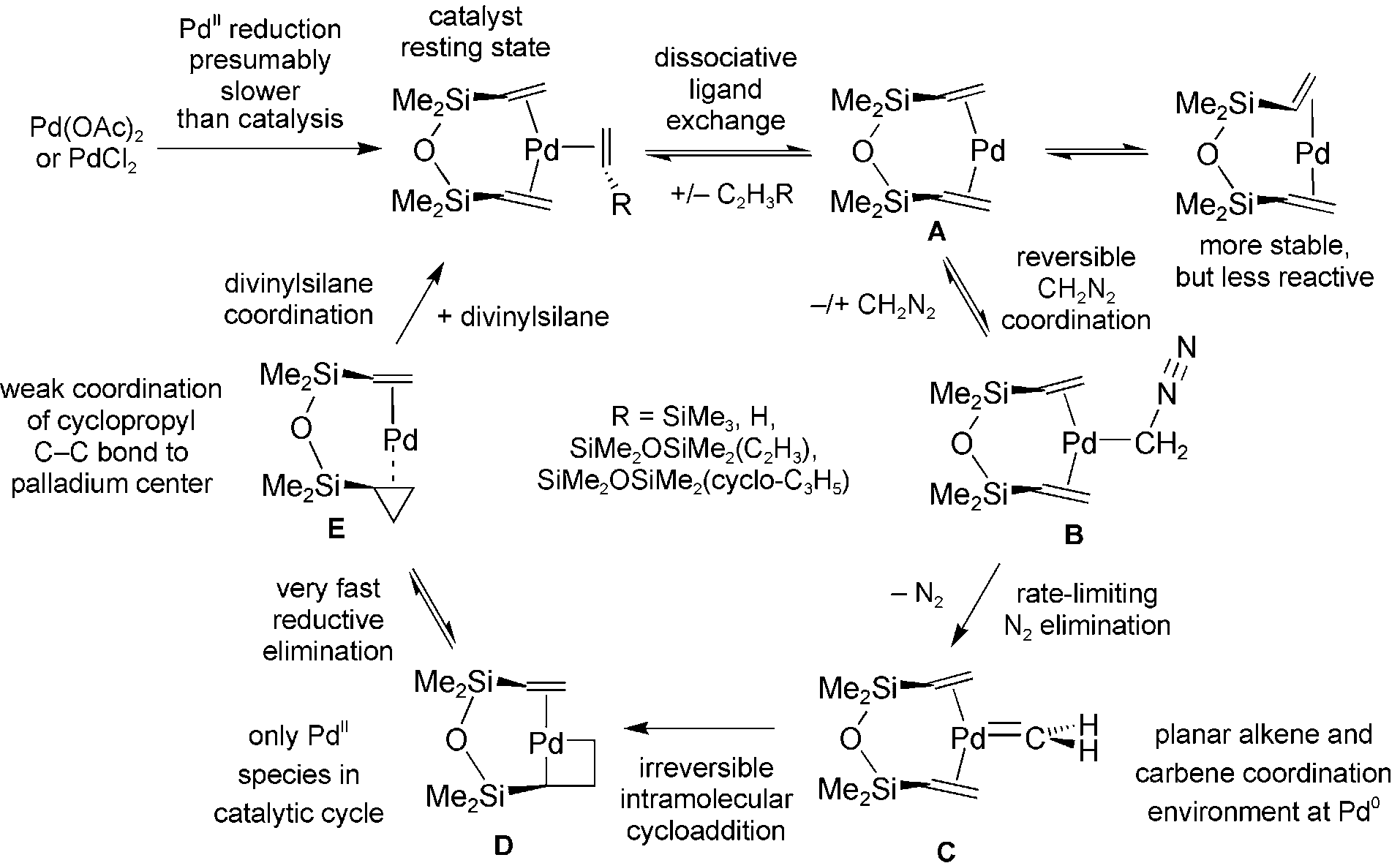 Cycle for the palladium-catalyzed cyclopropanation of DVTMS by diazomethane according to experimental observations and DFT calculations.