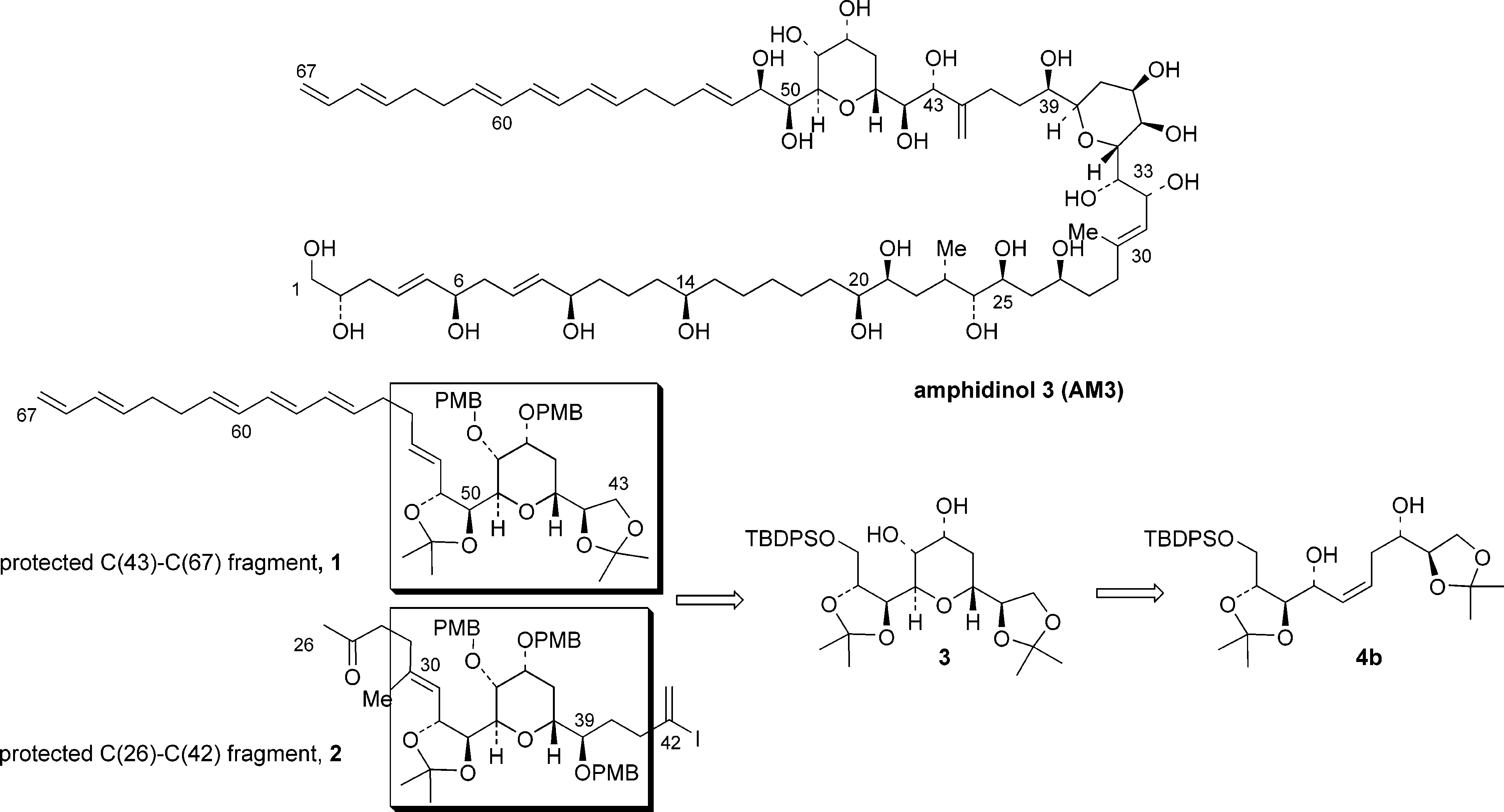 Retrosynthetic analysis (Amphidinol 3).