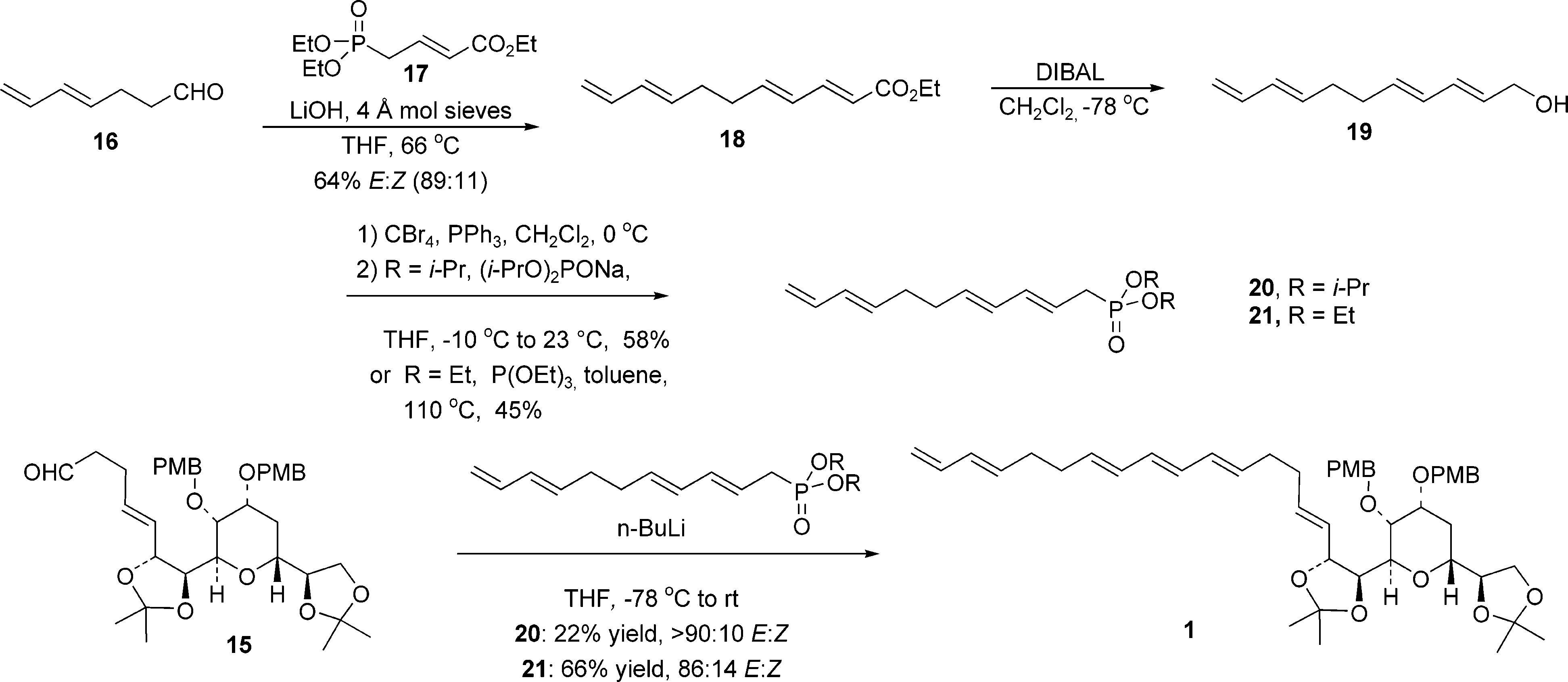 Synthesis of the C(43)-C(67) Fragment of Am3(Amphidinol 3)