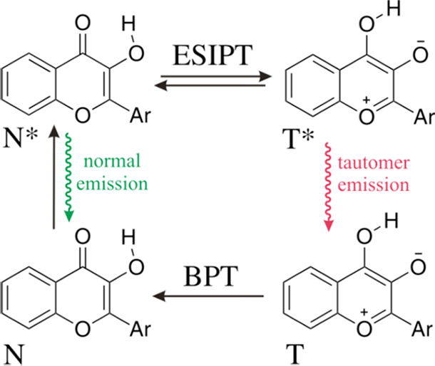ESIPT reaction in 3-hydroxychromone. BPT stands for back proton transfer, and N* and T* represent the normal and tautomeric emitting forms, respectively.