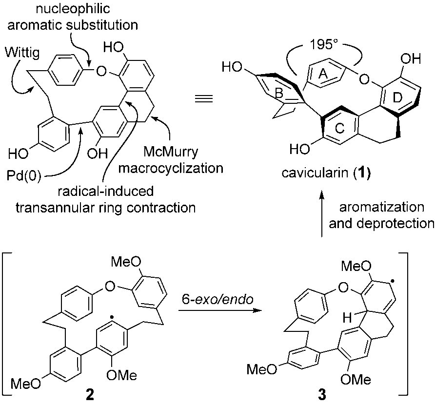 Synthetic strategy to cavicularin (1).  