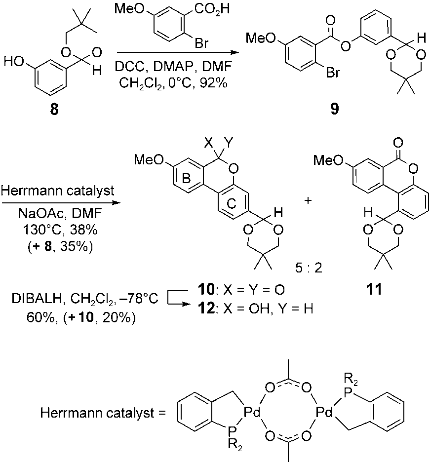 Synthesis of the BC ring system. DCC=dicyclohexylcarbo-diimide, DMAP=4-dimethylaminopyridine, DIBALH=diisobutylaluminum hydride, R=o-tolyl. 