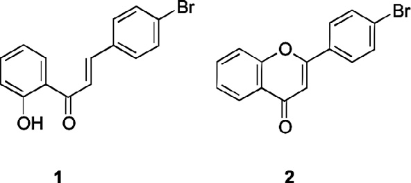 Flavonoid derivatives used in this study