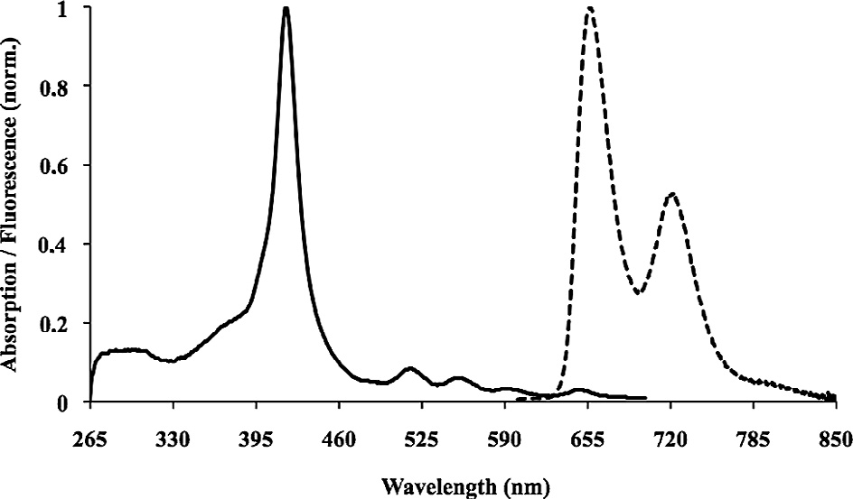 Representative normalized absorption (solid) and fluorescence spectra  (dotted) (kexc = 550 nm, OD = 0.02) of flavonoid–porphyrin conjugate 17 in DMF. 