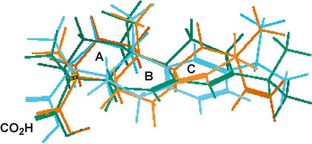 Superimposed structures of pimaric acid (1, green), abietic acid (2, brown) and dehydroabietic acid (3, blue). 