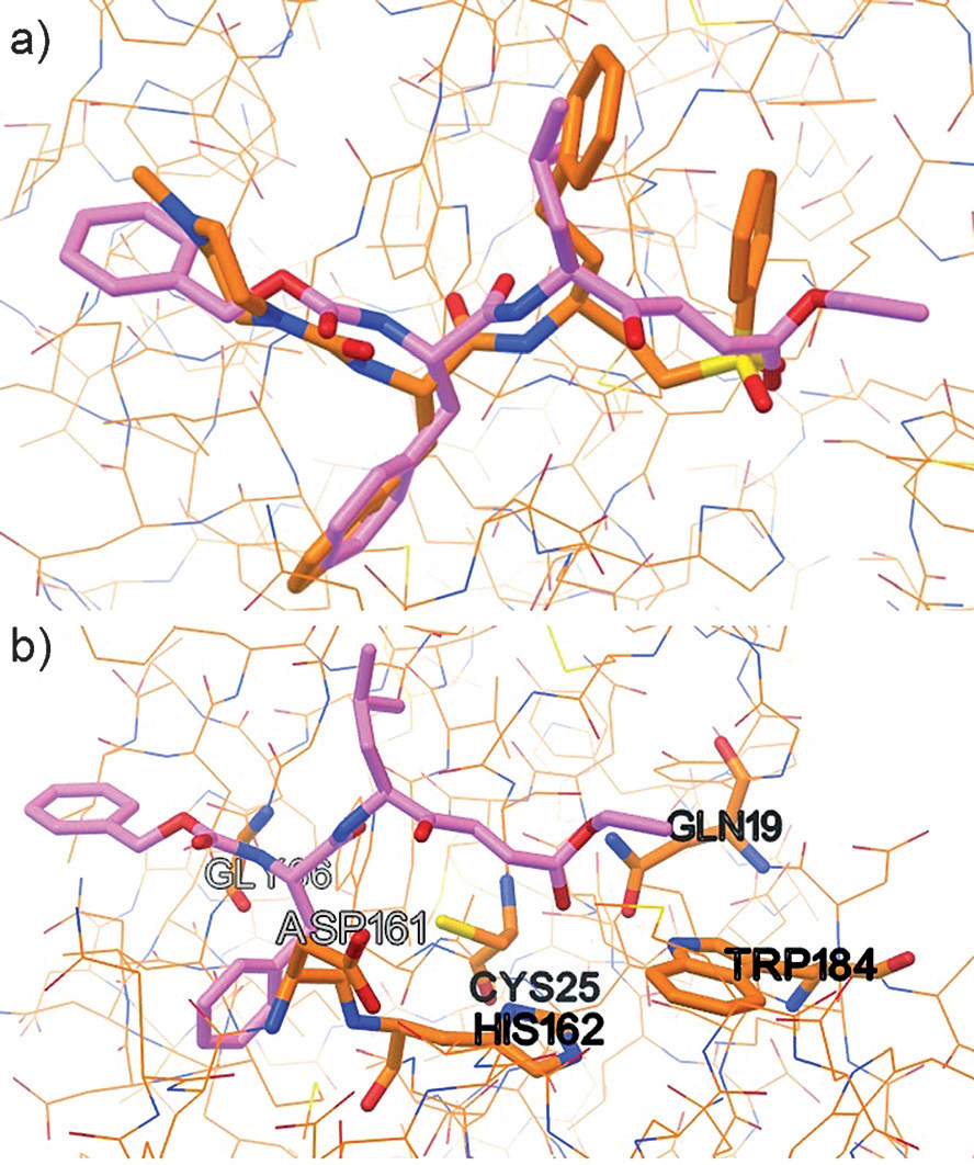 a) Docking pose of inhibitor 6 (magenta) superimposed with K11777 (orange) in complex with rhodesain (PDB ID: 2P7U). b) Proposed docking pose of inhibitor 6 (magenta) in complex with rhodesain.