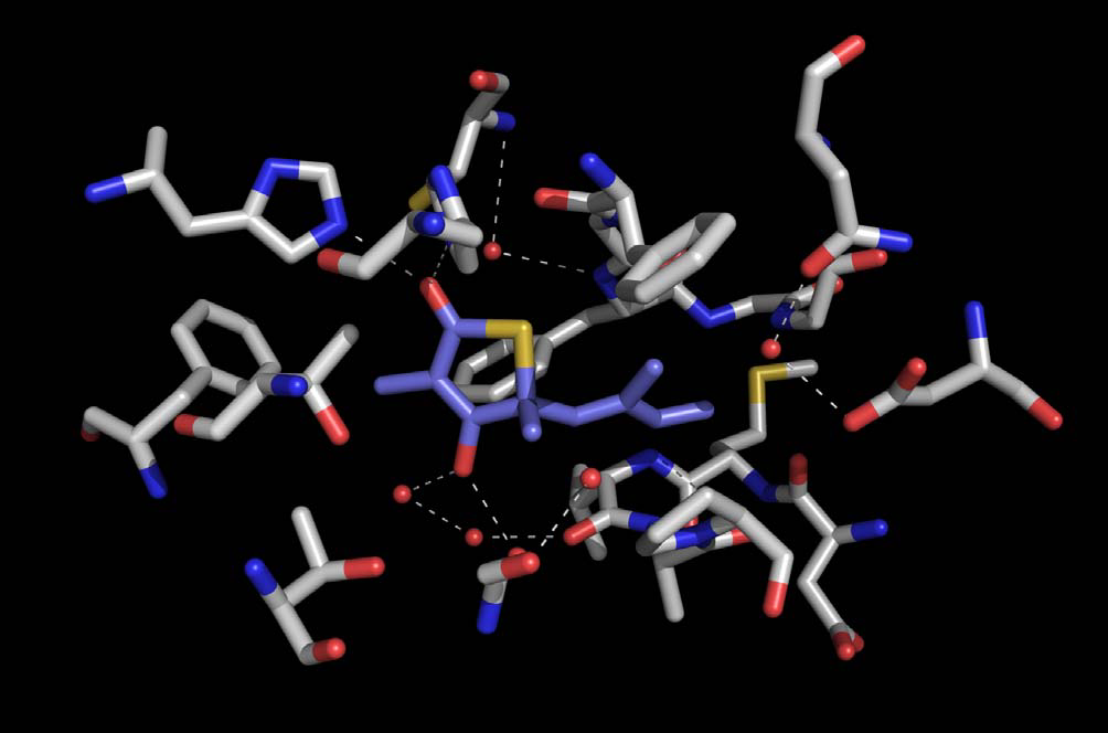 Analysis of the thiomorpholine binding site can serve as a template for the design of novel bioactive MCR scaffolds, the thiomorpholines reported herein.
