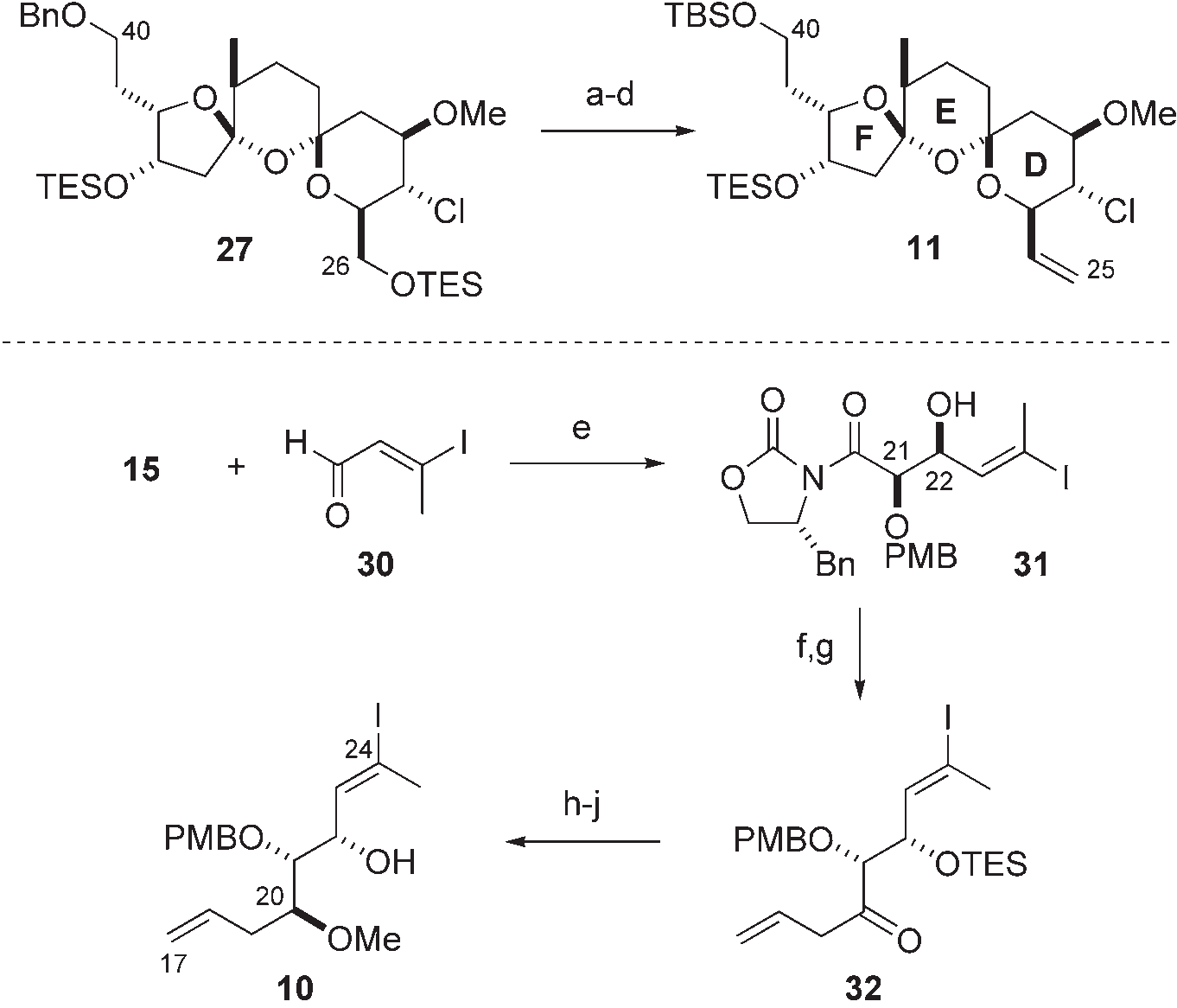 Preparation of the C25–C40 alkene 11 and the C17–C24  vinyl iodide 10.