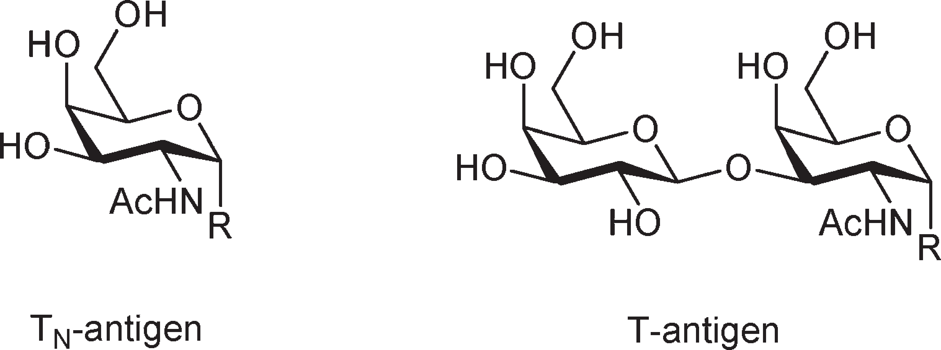 Structures of the TN- and the T-antigen.