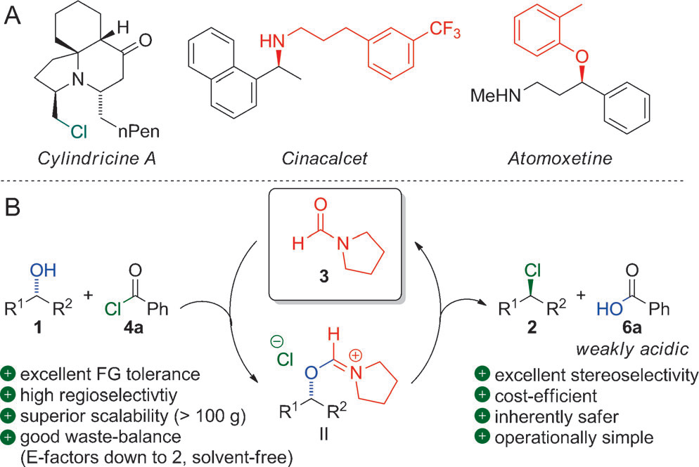 Selected chloride-containing natural products and pharmaceuticals containing amino and ether functionalities (A); presented method (B). 