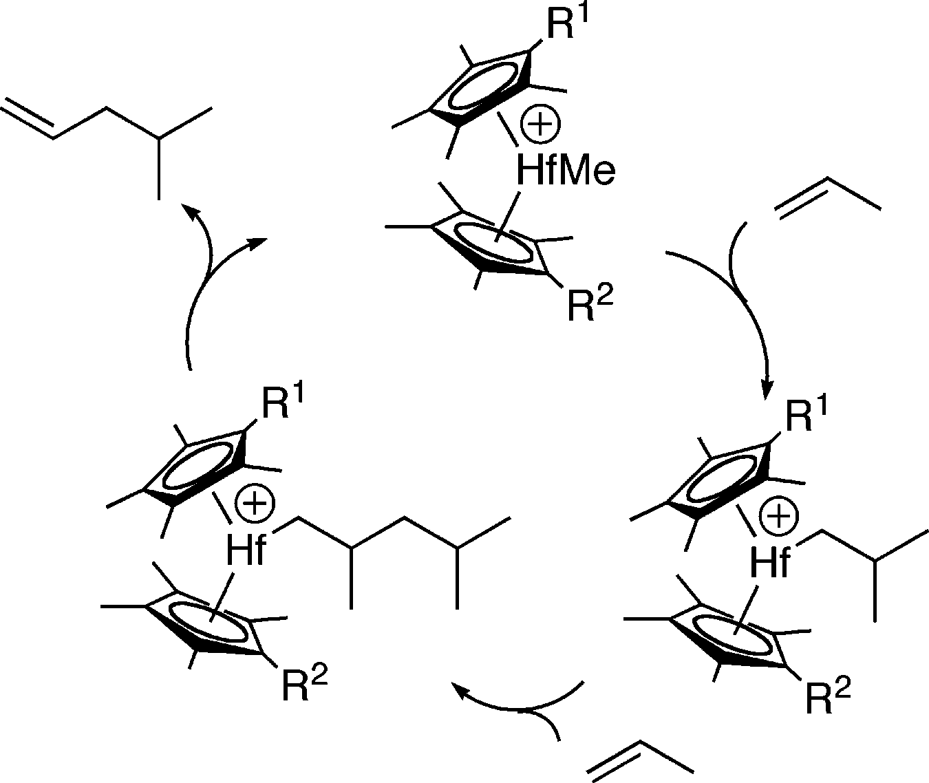 Idealized Catalytic Cycle for 4-Methyl-1-pentene Synthesis