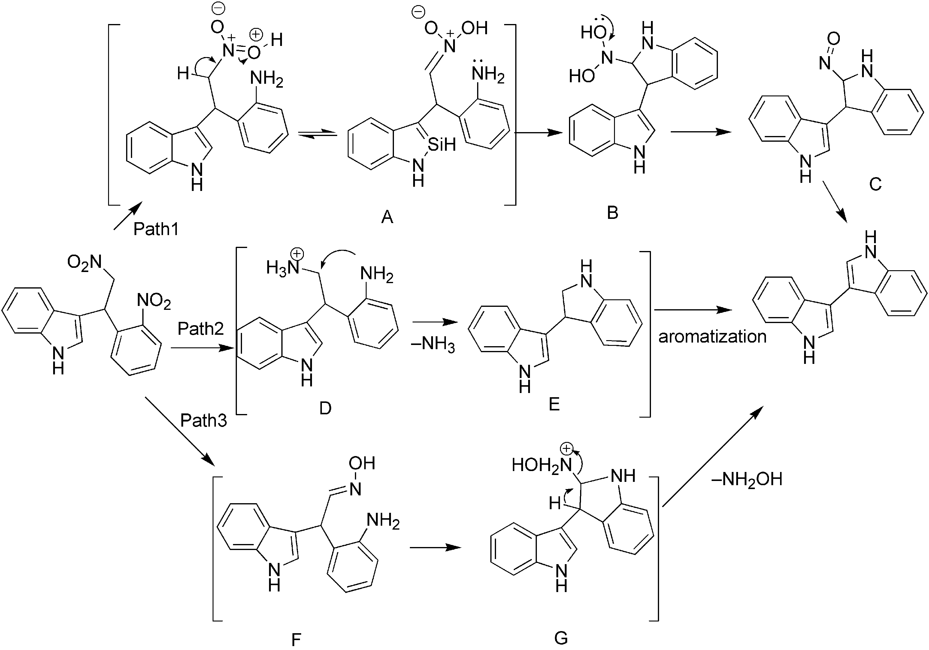 Plausible mechanistic routes for the formation of 3,3'-biindole.
