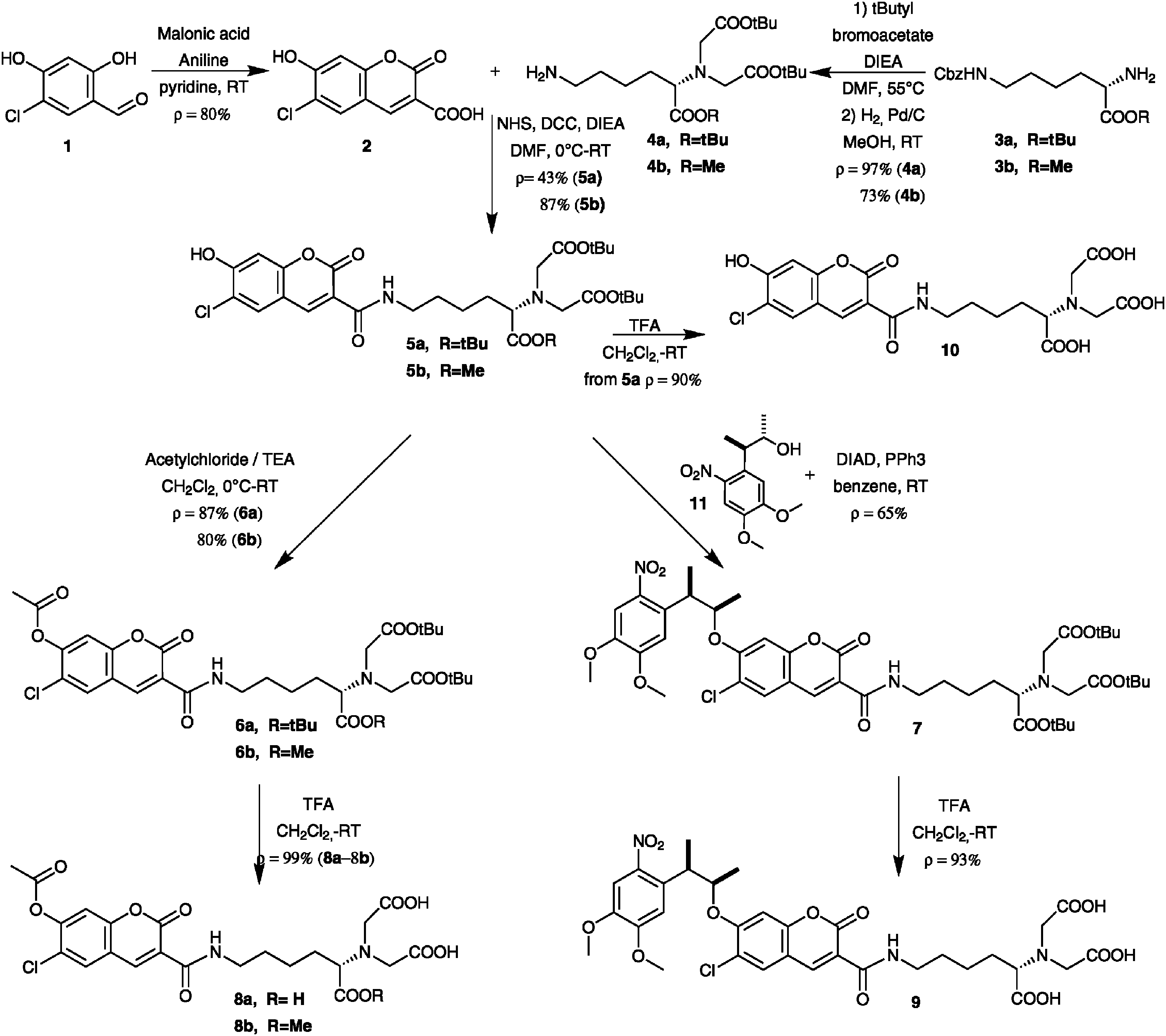 Synthesis of 7-DMNPB-coumarin-NTA, 7-acetylcoumarin-NTA and 7-acetylcoumarin-NDA.