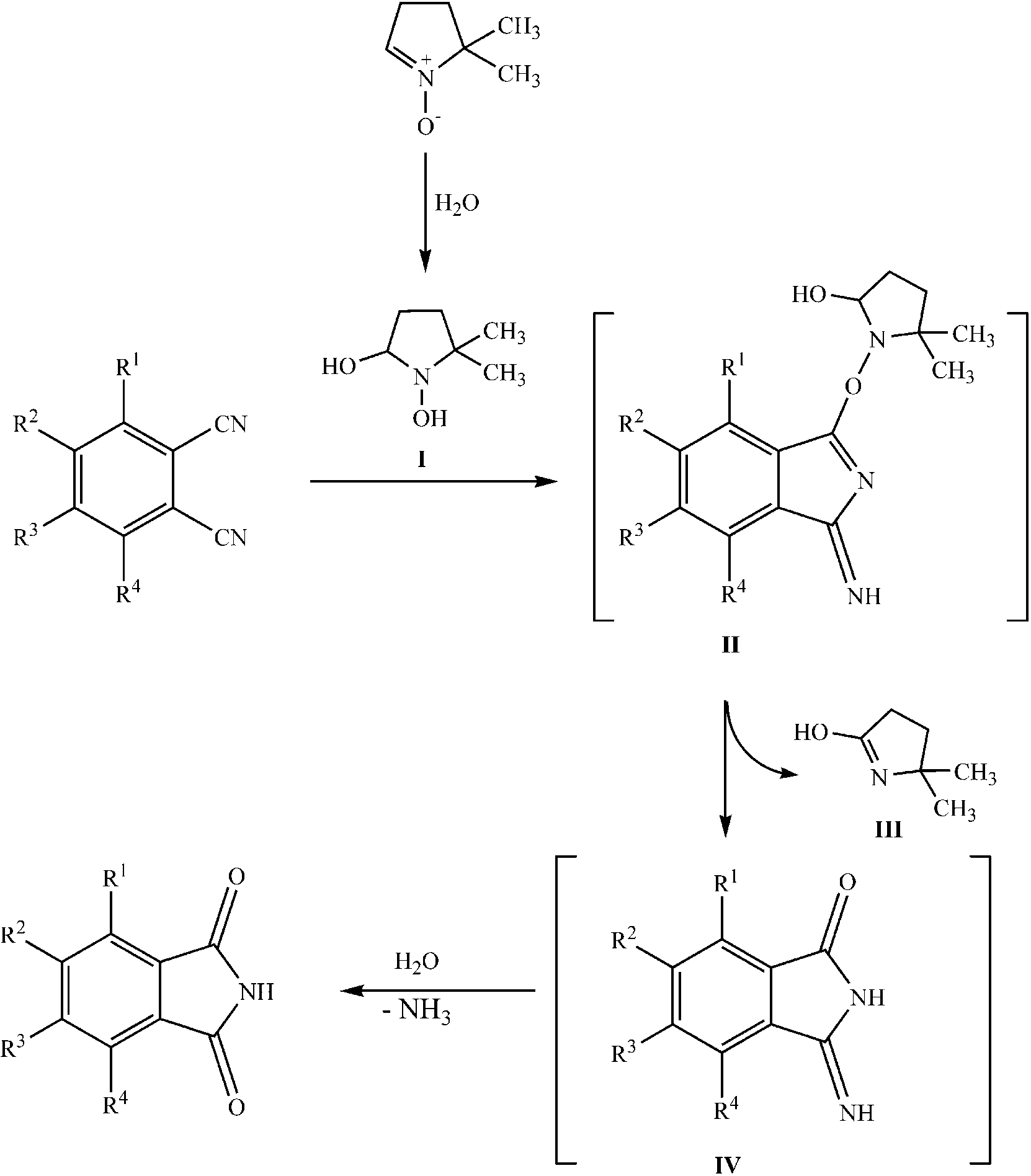 Proposed mechanism of phthalimide synthesis.