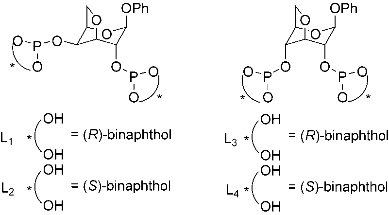 The chiral diphosphite ligands with the pyranoside backbone of galactose (L1 and L2) and glucose (L3 and L4).