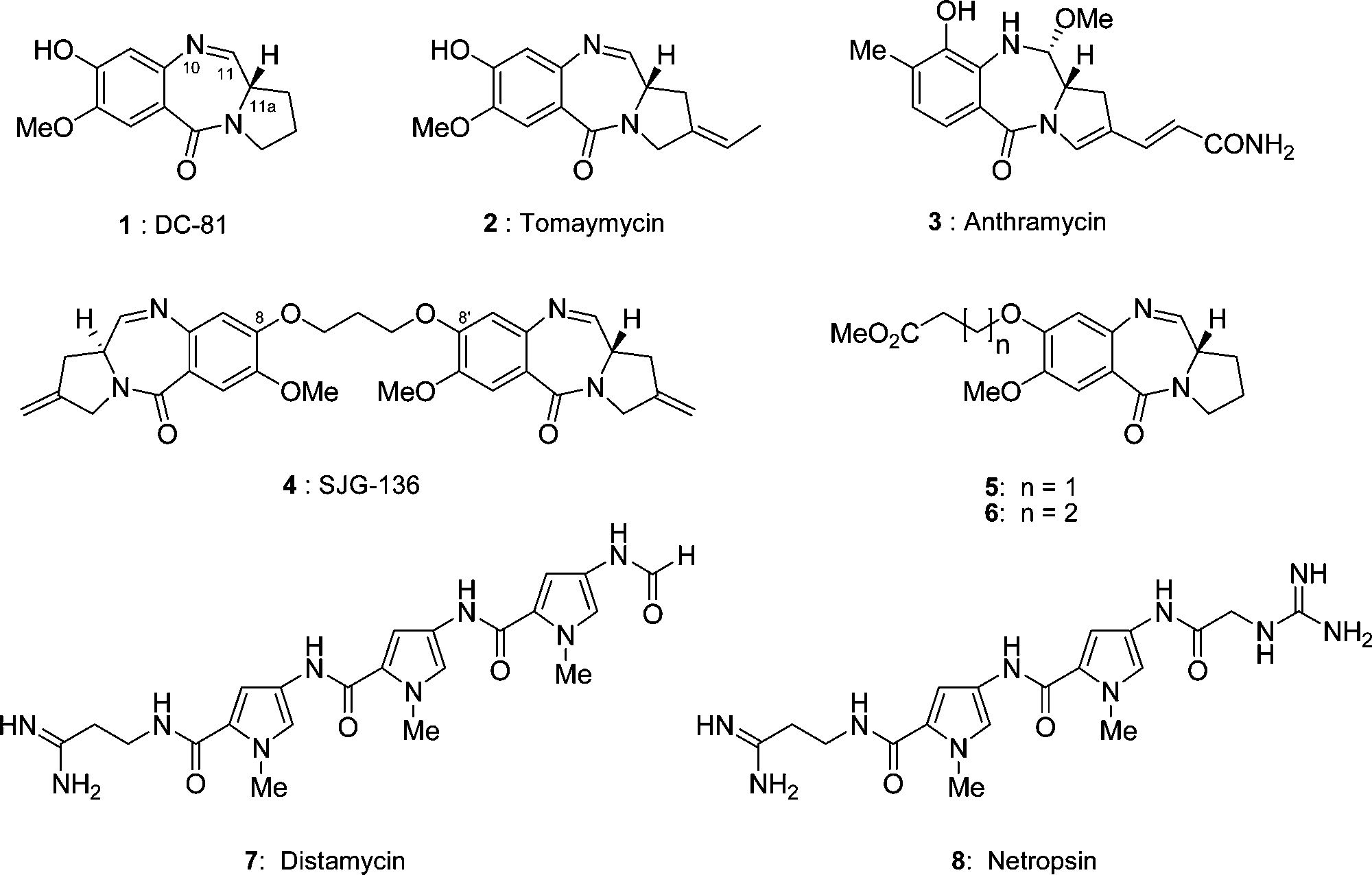 Structures of the PBD monomers (1, 2, 3, 5, and 6), the PBD dimer 4, and distamycin and netropsin (7 and 8).
