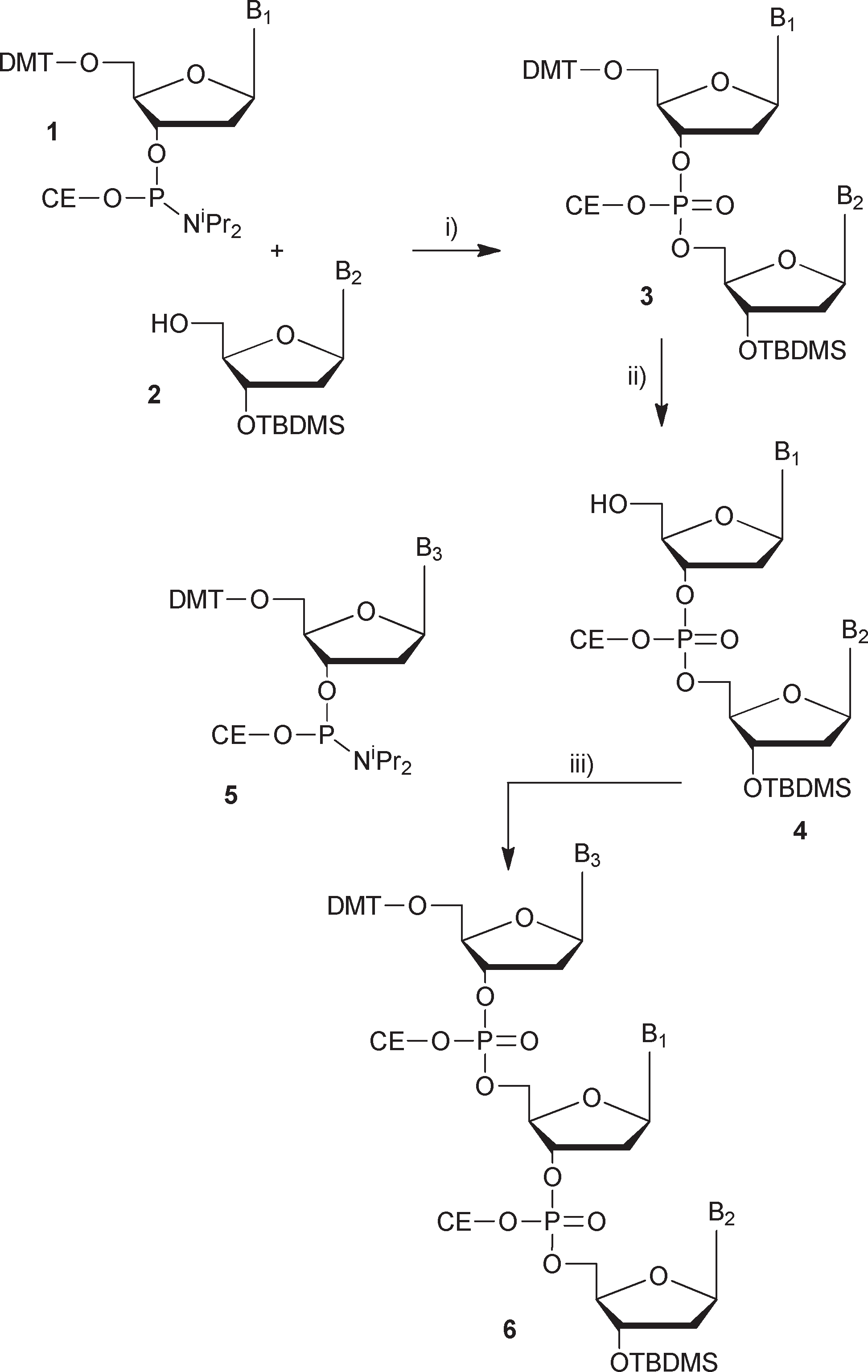 Synthesis of fully protected trinucleotides