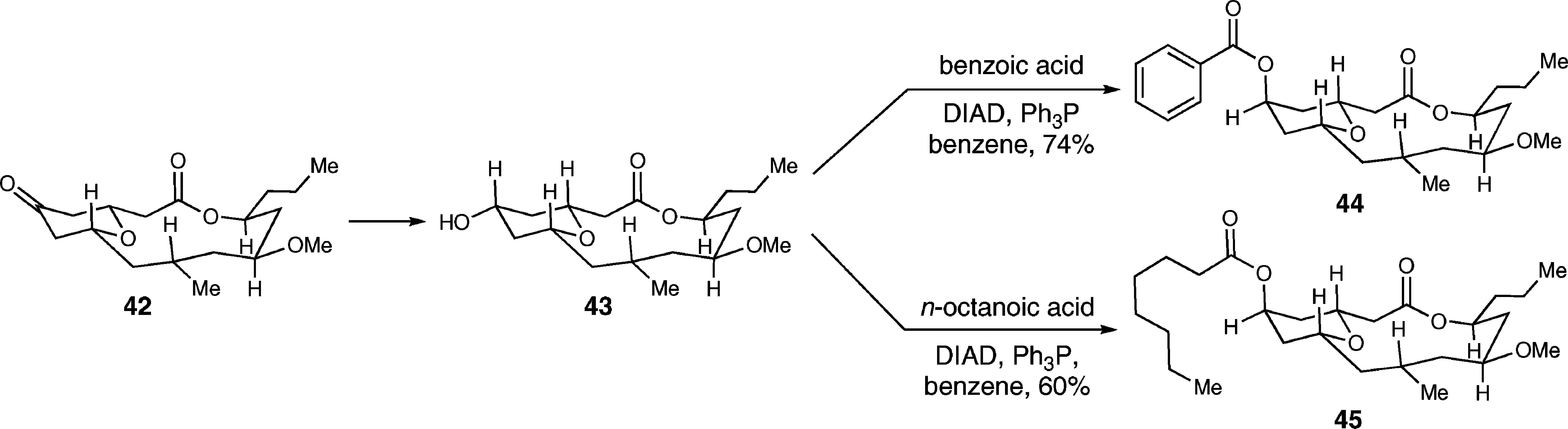 Synthesis of Neopeltolide Analogs