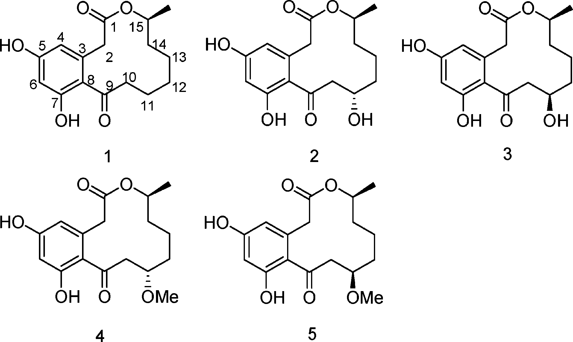 Curvularin (1), 11-α-hydroxycurvularin (2), 11-β-hydroxycurvularin (3), 11-α-methoxycurvularin (4), and 11-β-methoxycurvularin (5).