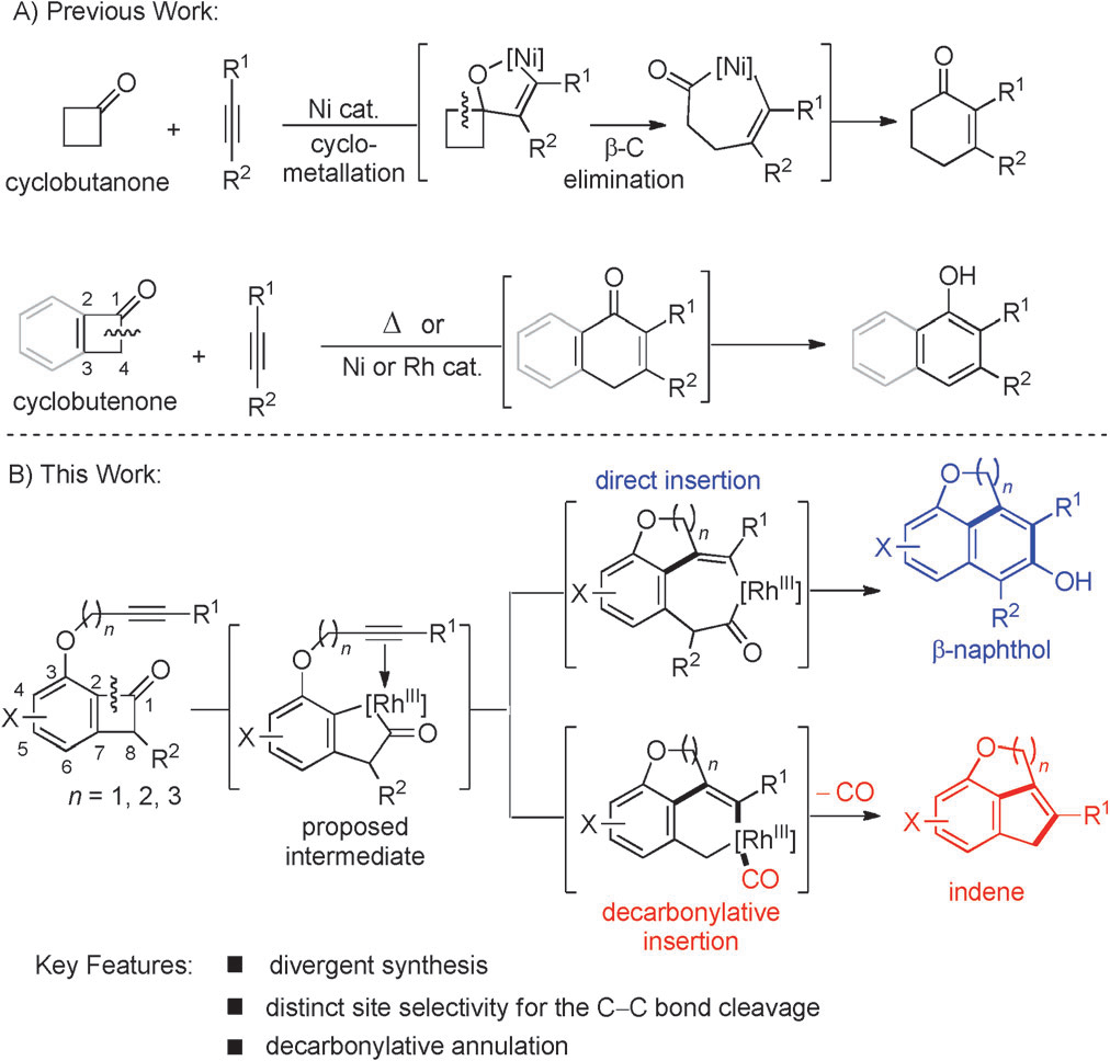 C C bond cleavage in cyclobutenones and cyclobutanones.