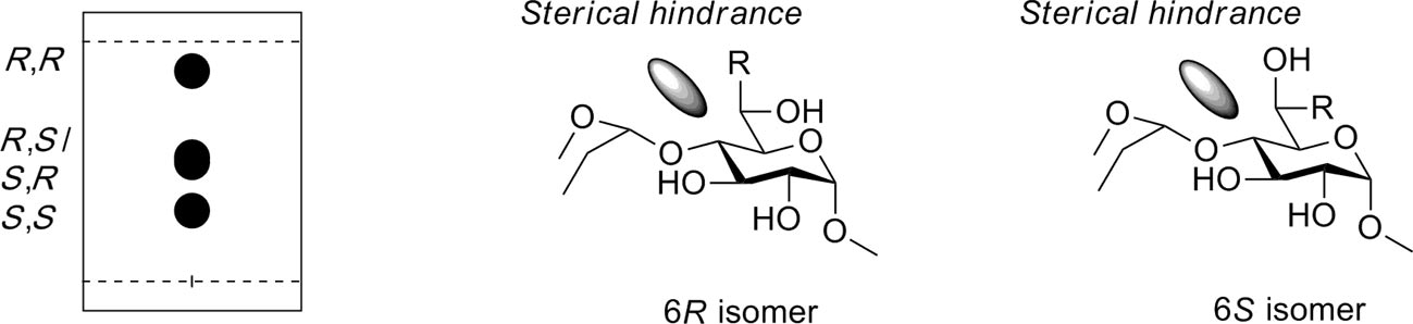 TLC plate showing the different polarities of diastereoisomers 6A,D-di-C-allyl-substituted nonadecaned-O-benzylated β-cyclodextrin in pentane/ethyl acetate 4:1 eluent (left). The figure shows how steric hindrance of the subsequent glucose residue prevents the C-6 substituent from entering the tg conformation, thus forcing each diastereomer to adopt the conformer shown (right).