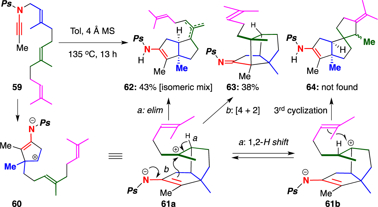 Attempted Carbocyclization Cascade of Farnesol-Tethered Ynamide 59