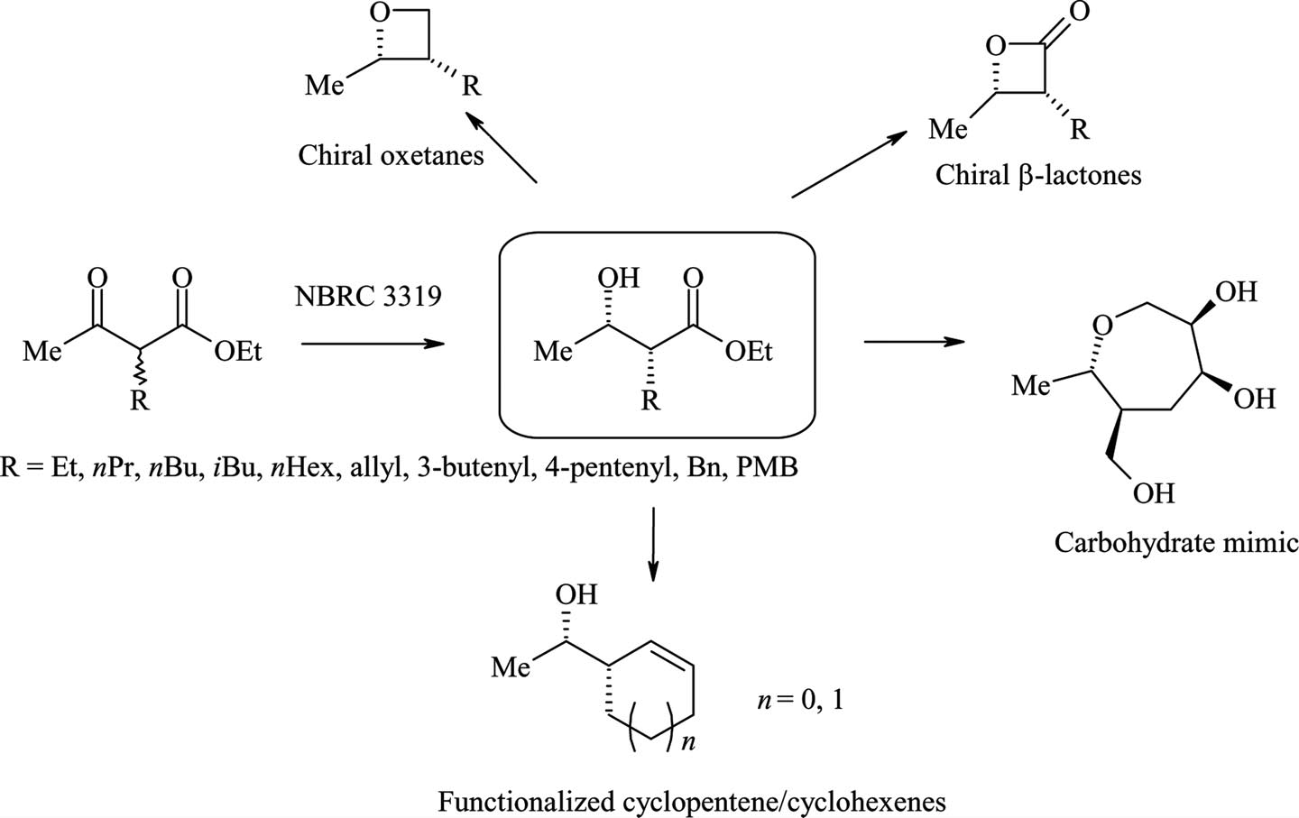 Klebsiella pneumoniae (NBRC 3319) mediated synthesis of various 2-substitited β-hydroxy esters and proposed synthetic manipulations. 