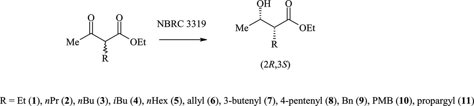 Exclusive formation of syn-β-hydroxy oxo esters by Klebsiella pneumoniae.