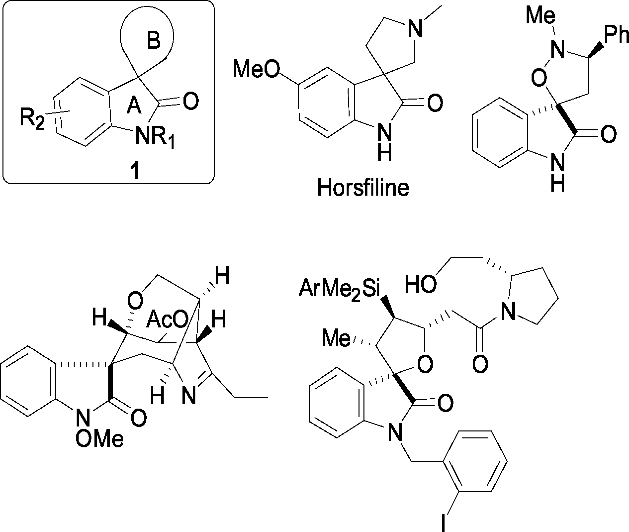 Bioactive spirooxindoles with variable B-rings. 