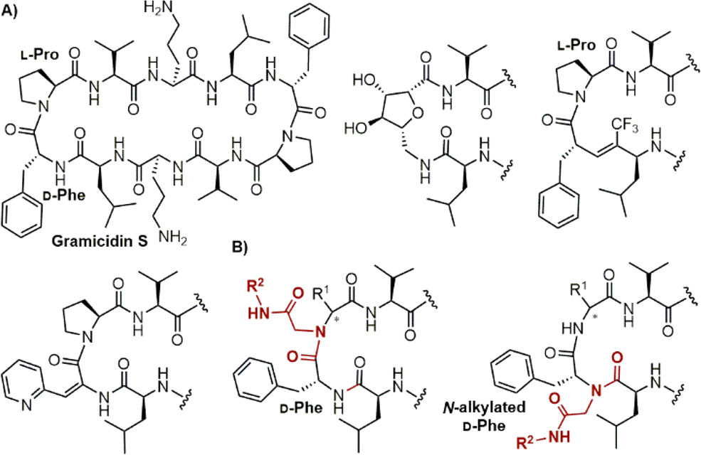 (A) Gramicidin S and some β-turn mimics used in its analogs. (B) Ugi-reaction-derived N-alkylated peptide fragments as novel β-hairpin-stabilizing templates.