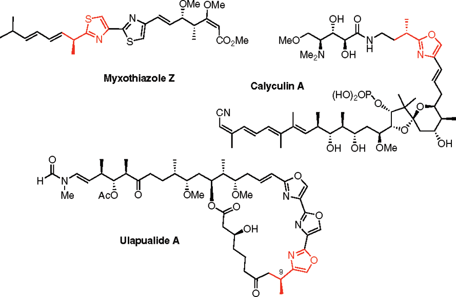Structure of myxothiazole Z, calyculin A, and ulapualide A. 