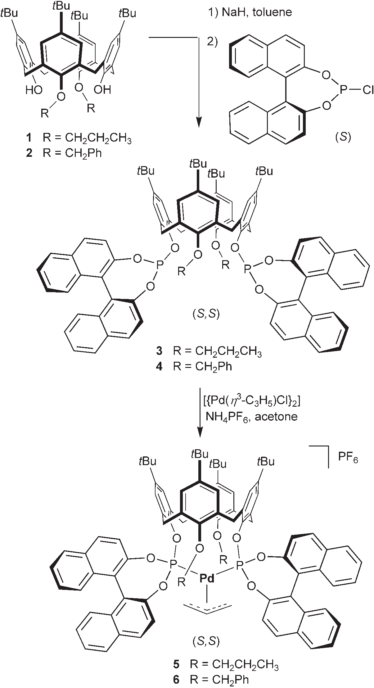 Synthesis of the diphosphites and their cationic allyl–palladium complexes.