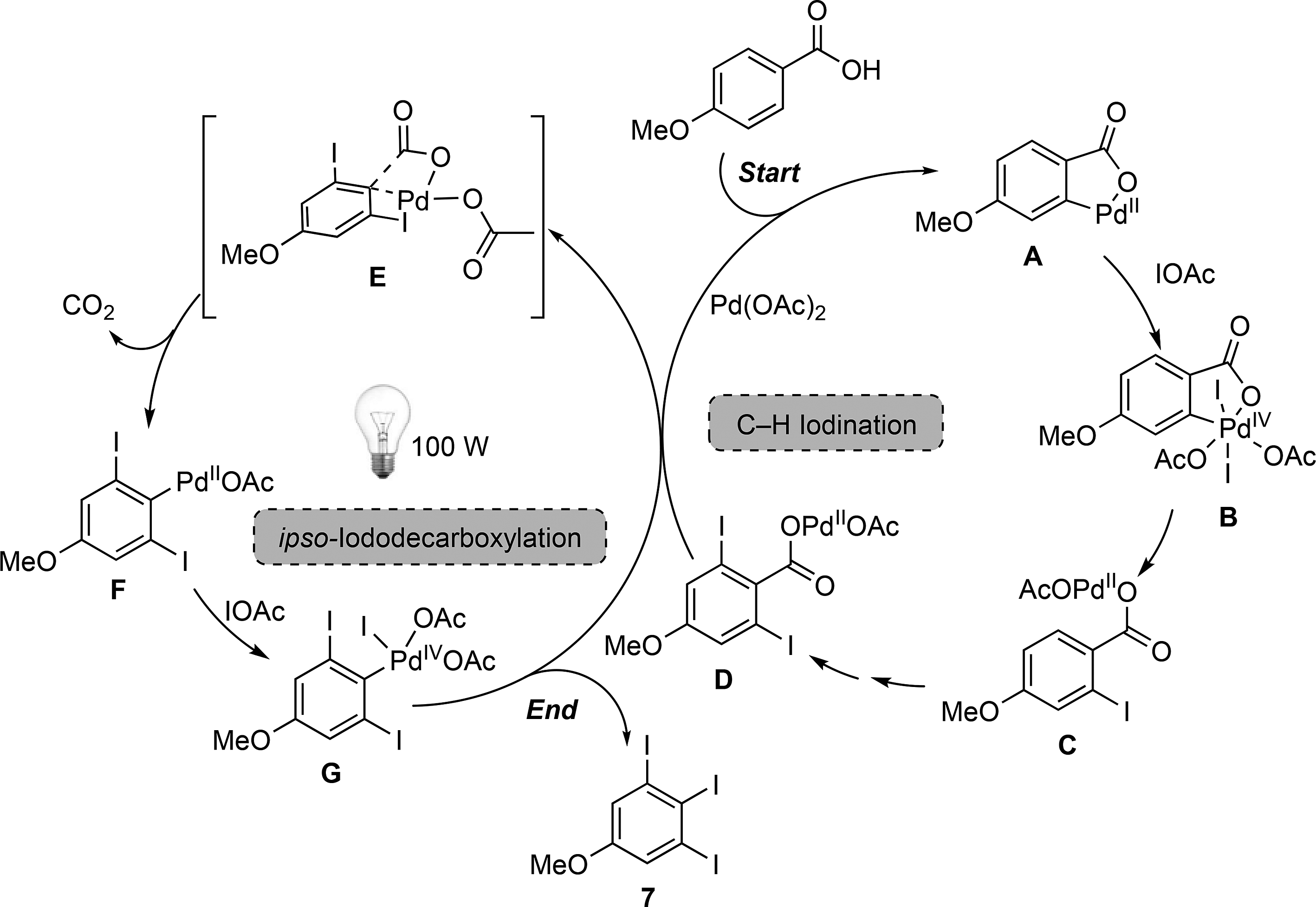 Proposed mechanism for the one-pot PdII-catalyzed C–H iodination/ipso-iododecarboxylation of para-anisic acid.