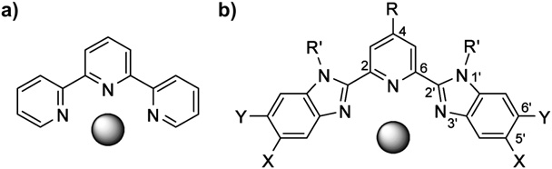 Metal-binding conformation of the terdentate ligands (a) terpyridine (Terpy)  and (b) 2,6-bisbenzimidazolylpyridine (Bip) with labeled functional sites: R, R0, X, and Y. The gray spheres represent metal ions.