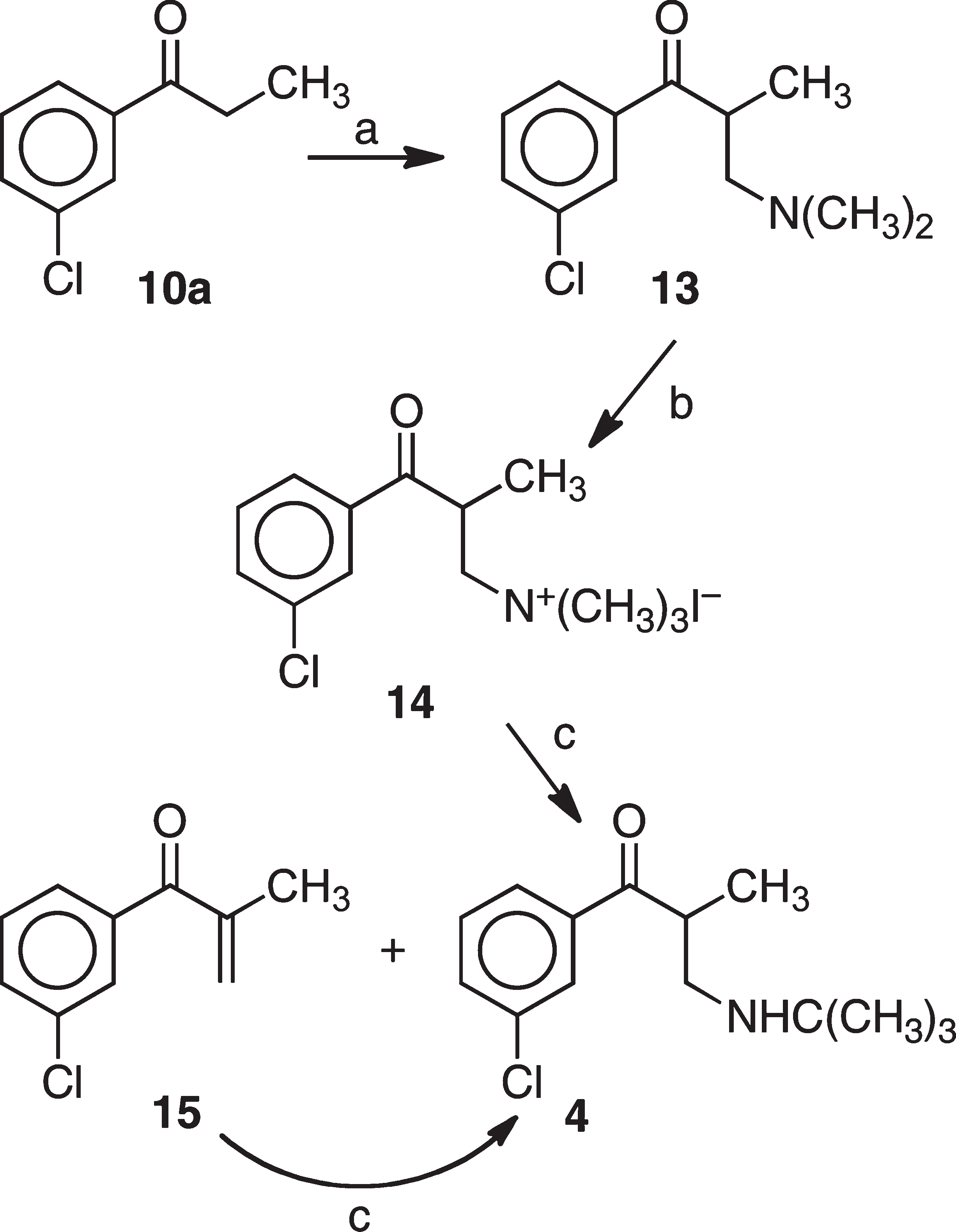 Scheme 3 shows the procedure used for the synthesis of 4. Subjection of 3'-chloropropiophenone (10a) to Mannich reaction conditions with aqueous formaldehyde and dimethylamine gave 13. The methiodide 14 was obtained by alkylation of 13 with iodomethane. Treatment of 14 with tert-butylamine gave first a mixture of 15 and the desired 4. Subjection of the mixture to excess tert-butylamine provided the desired target compound.