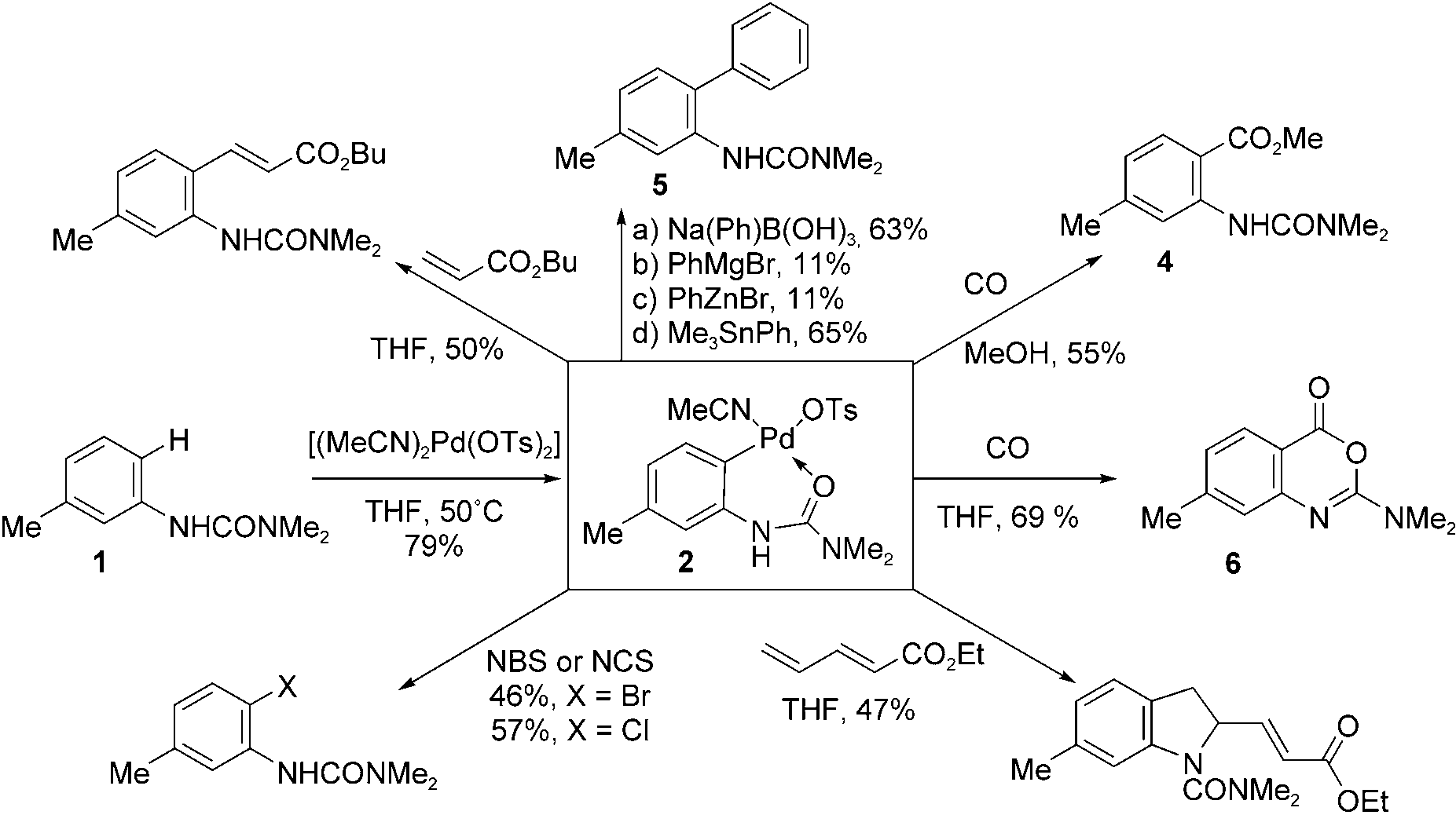 Formation and reaction of PdII complex 2. NBS = N-bromosuccinimide, NCS = N-chlorosuccinimide.