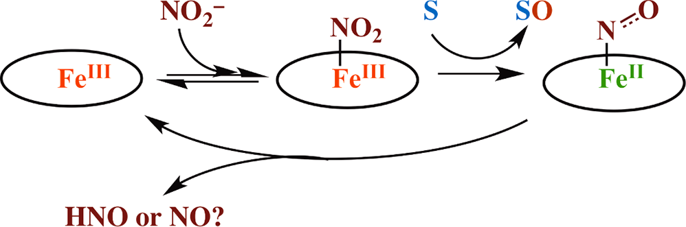 Nitrite Reduction Mediated by Heme Models. Routes to NO and HNO?