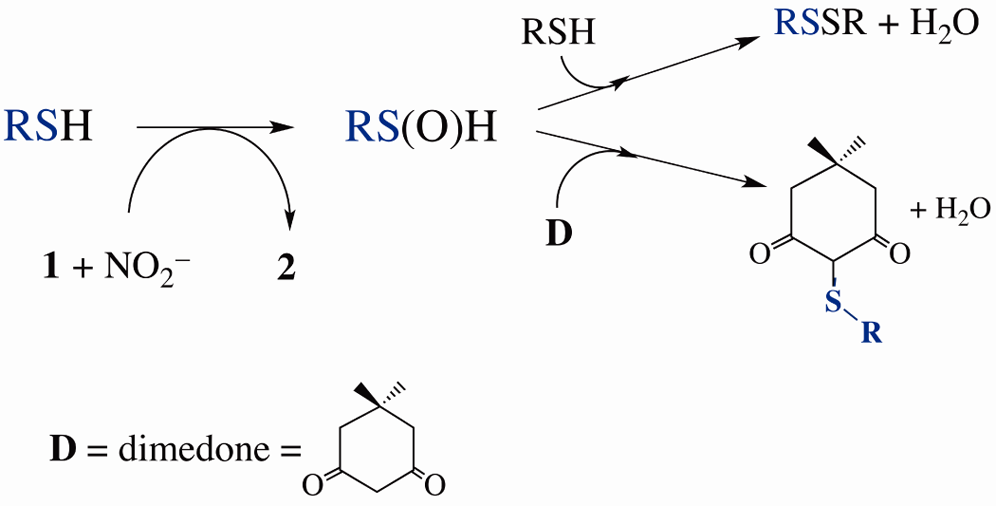 Heme-mediated OAT to RSH (CysSH or GSH) generates sulfinic acid RS(O)H, which is trapped by excess RSH to form RSSR or by dimethyl ketone (D) to form D−SR