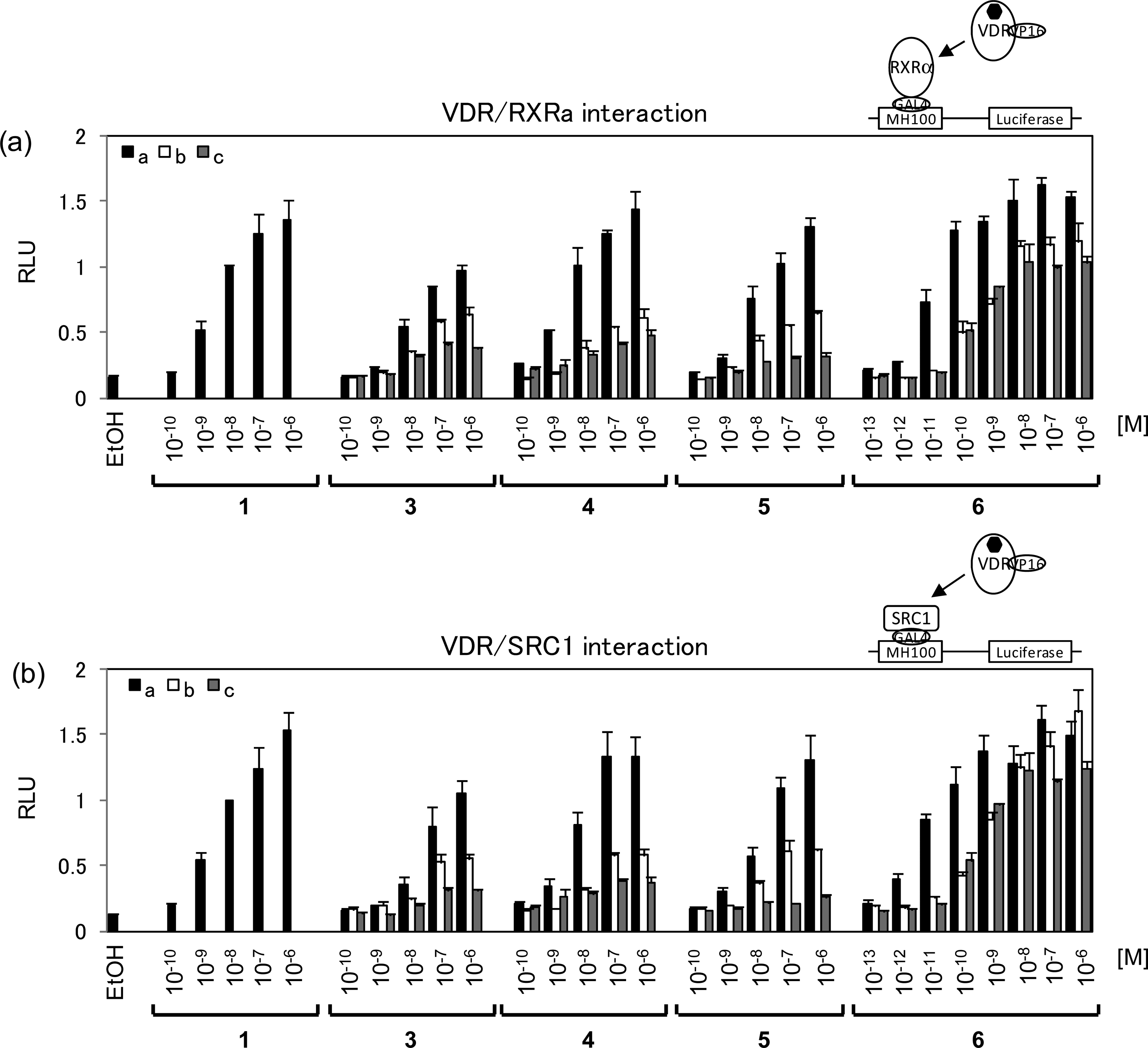 RXRR and SRC-1 recruitment to VDR by 1,25-(OH)2D3 (1) and synthetic compounds (3a-c, 4a-c, 5a-c, and 6a-c) in Cos7 cells.