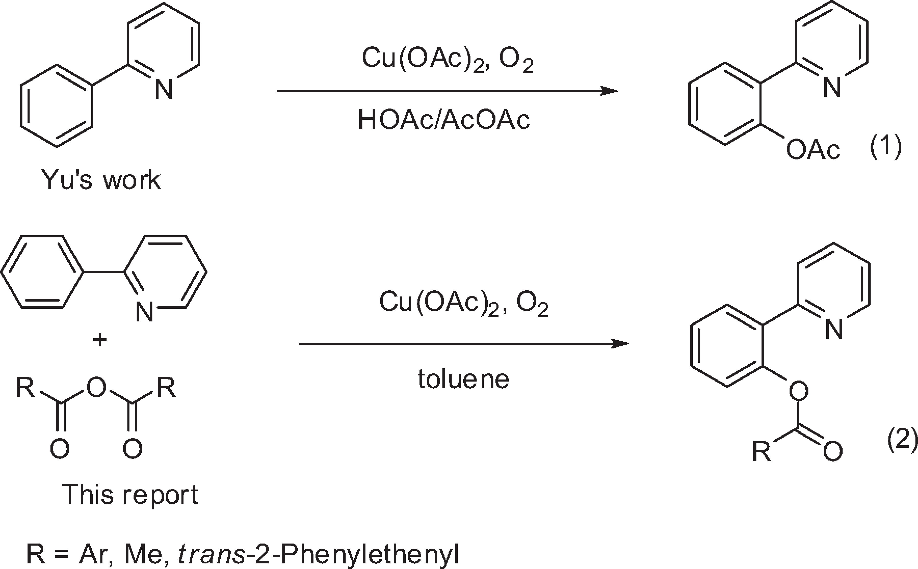 Copper-Catalyzed Acyloxylation of the 2-Phenylpyridine C-H Bond