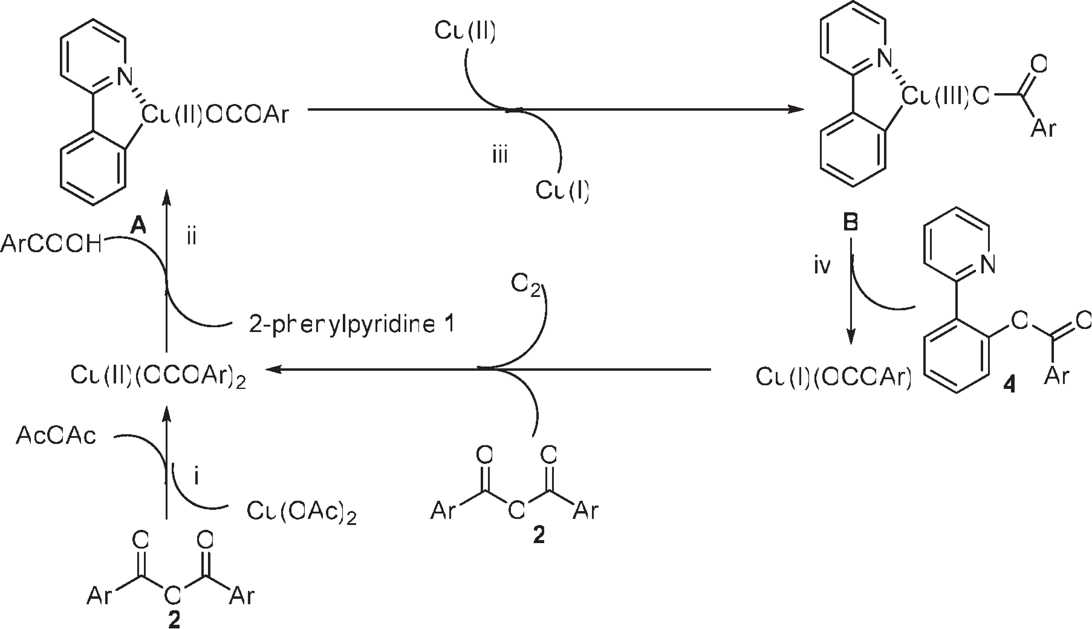 On the basis of the experimental results and Stahl's seminal work on mechanistic study of copper-catalyzed aerobic oxidative coupling of arylboronic esters and methanol, a plausible mechanism for this transformation is outlined in  Scheme 3.