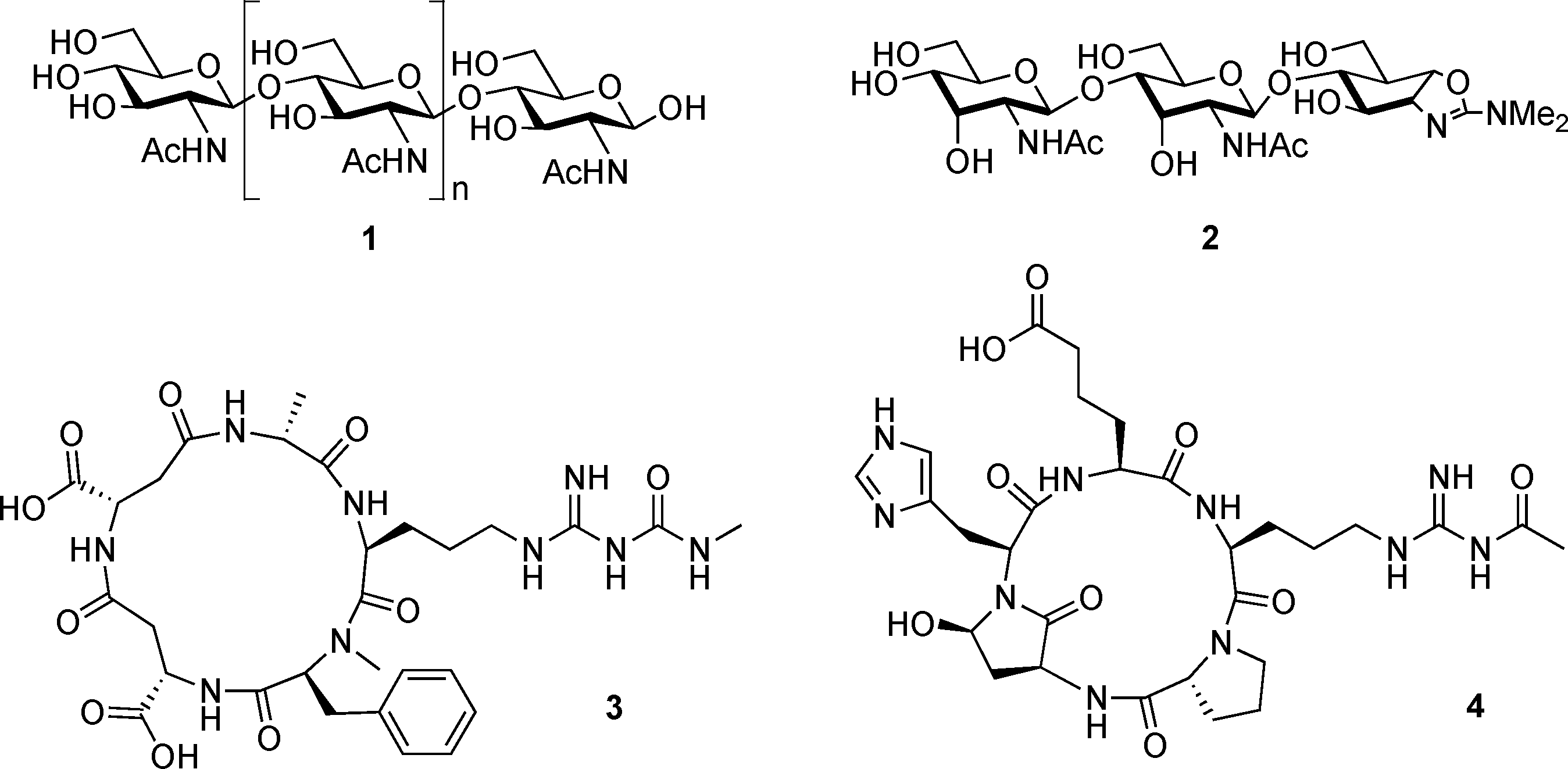 Chitin 1, allosamidin 2, argifin 3 and argadin 4.