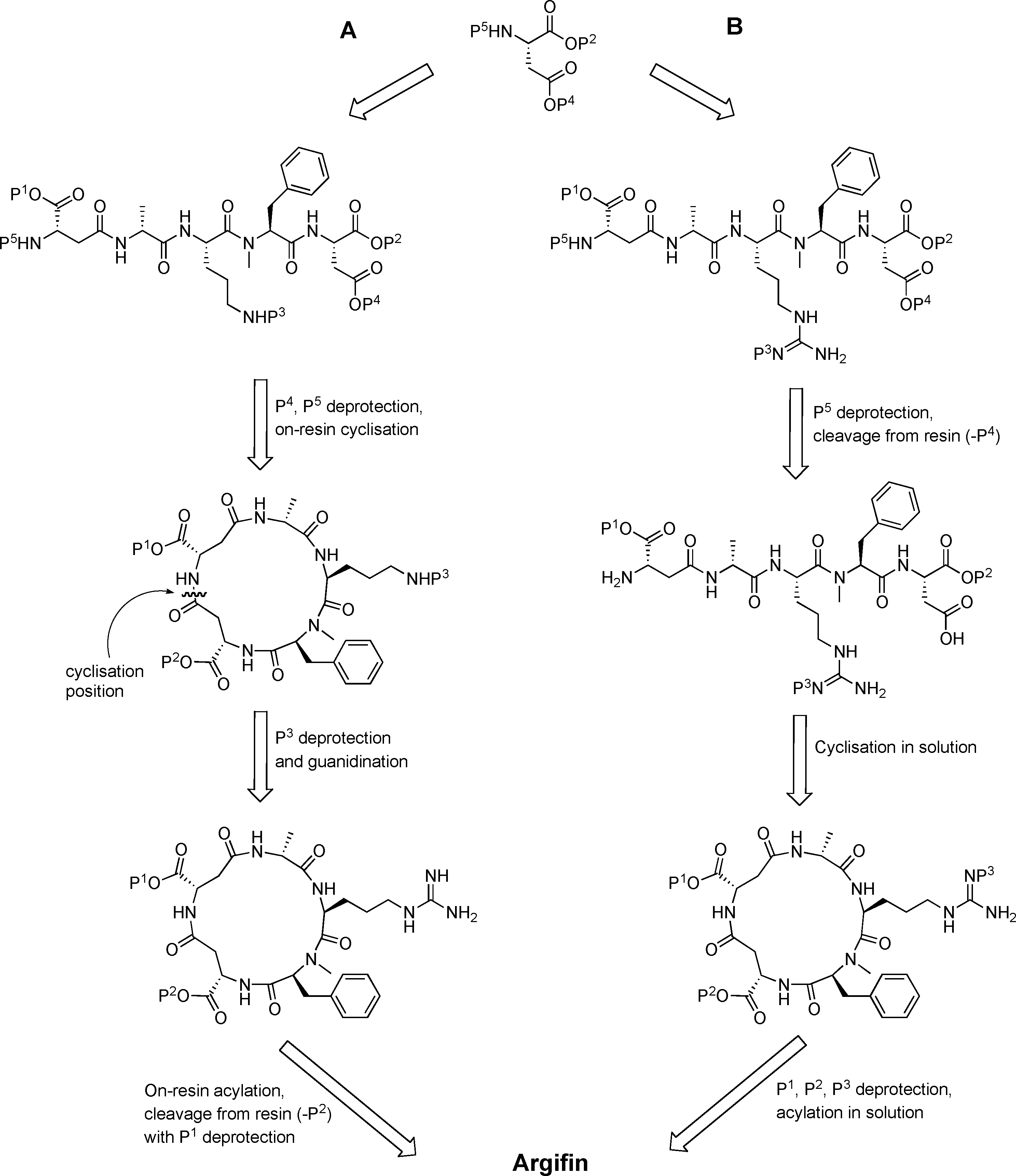 Synthetic approaches to argifin. Path A: All-solid-phase approach. Path B: Previous combined solid-phase–solution approach.